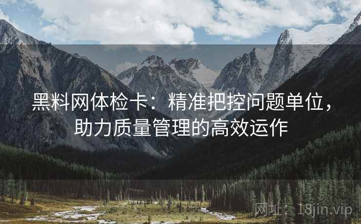 黑料网体检卡:精准把控问题单位,助力质量管理的高效运作
