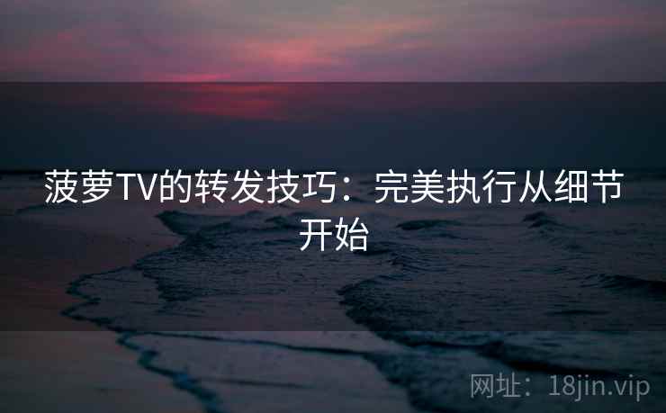 菠萝TV的转发技巧：完美执行从细节开始  第2张